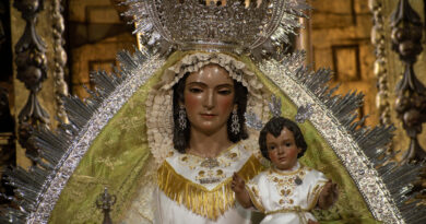 Ntra. Sra. la Virgen del Rosario vuelve al Culto tras su restauración